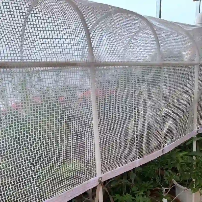 Clear Grid Reinforced PE Tarpaulin, Outdoor Weatherproof Sheet, Manufacturer