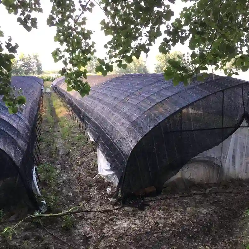 Black Shade Net Fabric HDPE Material for Garden Greenhouse, Supplier