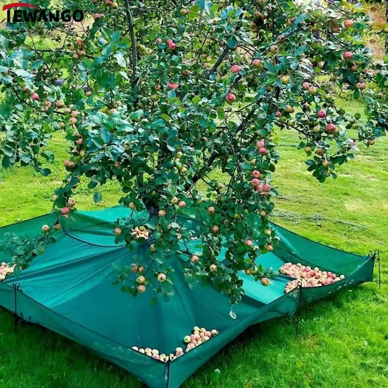 Fruit Harvest Collection Net Manufacturer