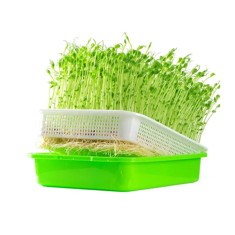 Hydroponic Net Pot Soilless Cultivation Supplier
