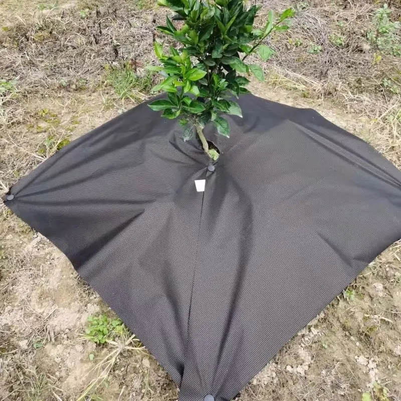 PLA Biodegradable Weed Barrier Fabric Manufacturer